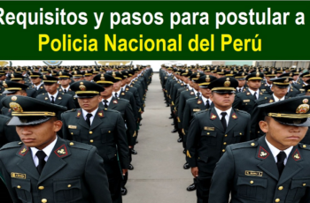 Posibilidad de empleo en la Policía Nacional (PNP) a nivel nacional