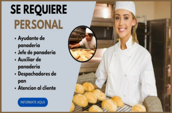 ¡Dulce Oportunidad! Trabaja como Ayudante de Panadería