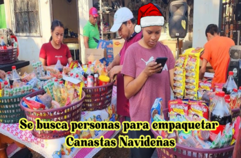 Aplicar y producir cestas navideñas.