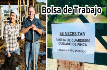 Nuevas oportunidades laborales para el cuidado de casas de campo