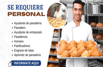 Solicitamos Panadero, Pastelero y Ayudante.