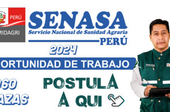 SENASA OFRECE 969: Empleos con salarios de hasta S/.  5.600 – CONVOCATORIA 2024