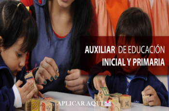 Empleo de Auxiliar Escolar Abierto para el Año 2024