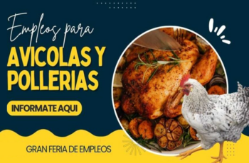 ¿Buscas Empleo? Pollerías Solicitan Personal ¡Aplica Hoy!