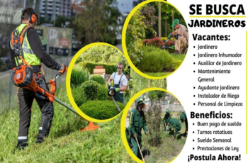 Empleo de Jardinero: Se Requiere Experiencia en el Campo.