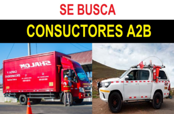 Aviso de Empleo: Buscamos Chofer A2B