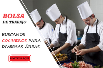 Empleo disponible: ¡Cocinero buscado para unirse a nuestro equipo!