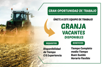 Contratamos personal para trabajar en granjas.