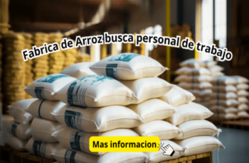 ¡Únete al equipo del Taller de Arroz!