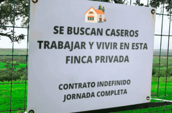 Estoy buscando un administrador de propiedades para la propiedad y la casa Chale.