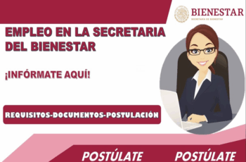 ¿Estás buscando trabajo? El Ministro de Asuntos Sociales anuncia un puesto para octubre y noviembre
