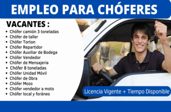 Buscamos conductor particular o senior.