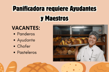 Panificadora necesita asistentes y maestros